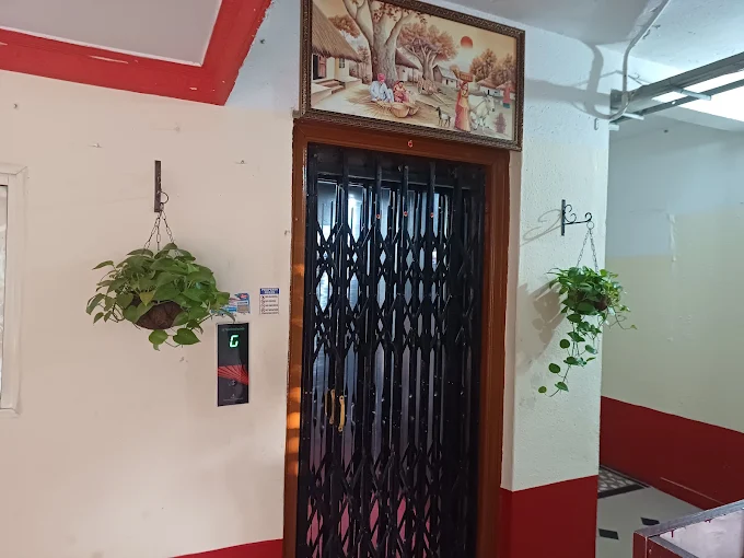 Entrance to the apartments with hanging plants